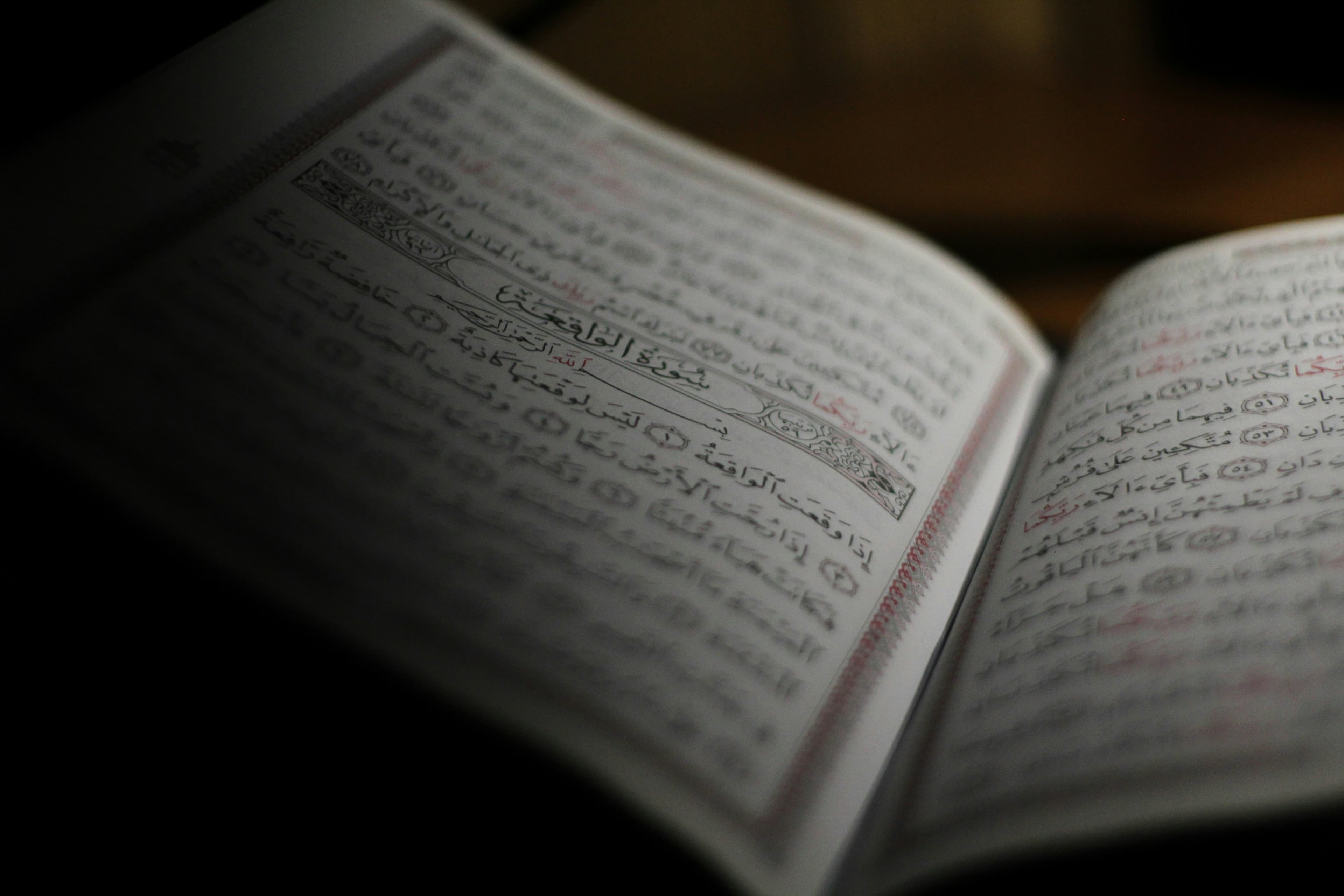 Understanding Makharij: The Points of Articulation in Arabic